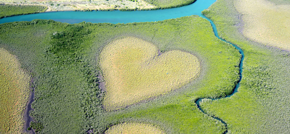 Engagement environementaux